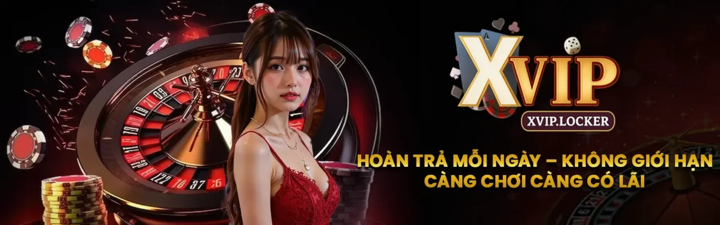 banner xvip
